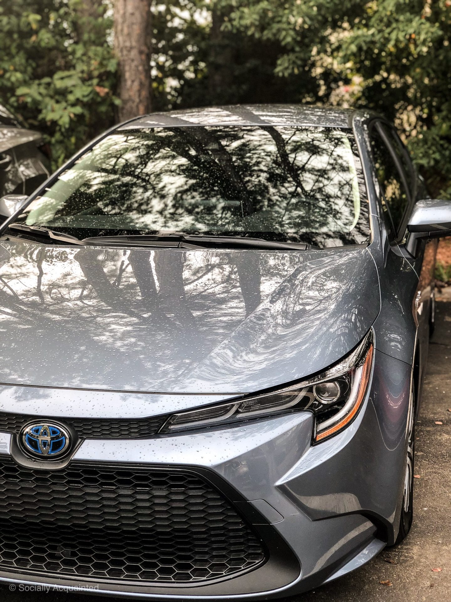 2020 Toyota Corolla Hybrid